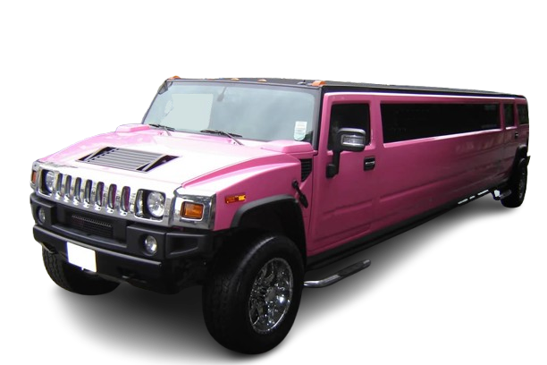 Dunstable Pink Hummer