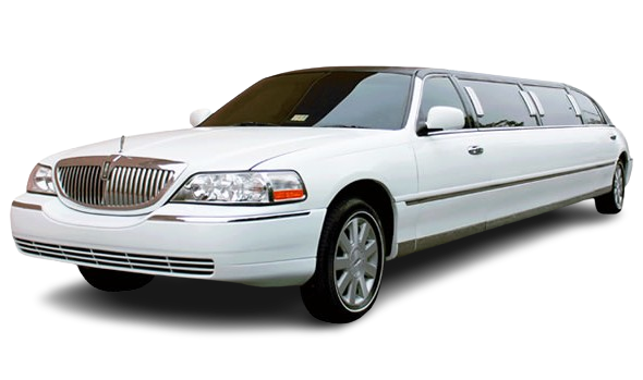 Dunstable White lincoln
